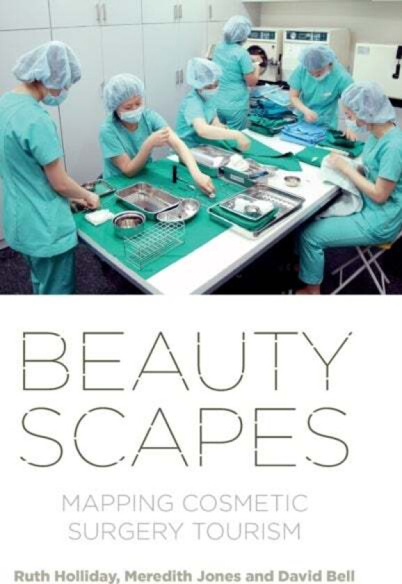 Beautyscapes av Ruth Holliday, Meredith Jones, David Bell