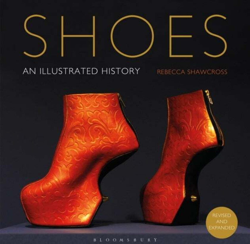 Shoes av Rebecca (Northampton Museum and Art Gallery UK) Shawcross