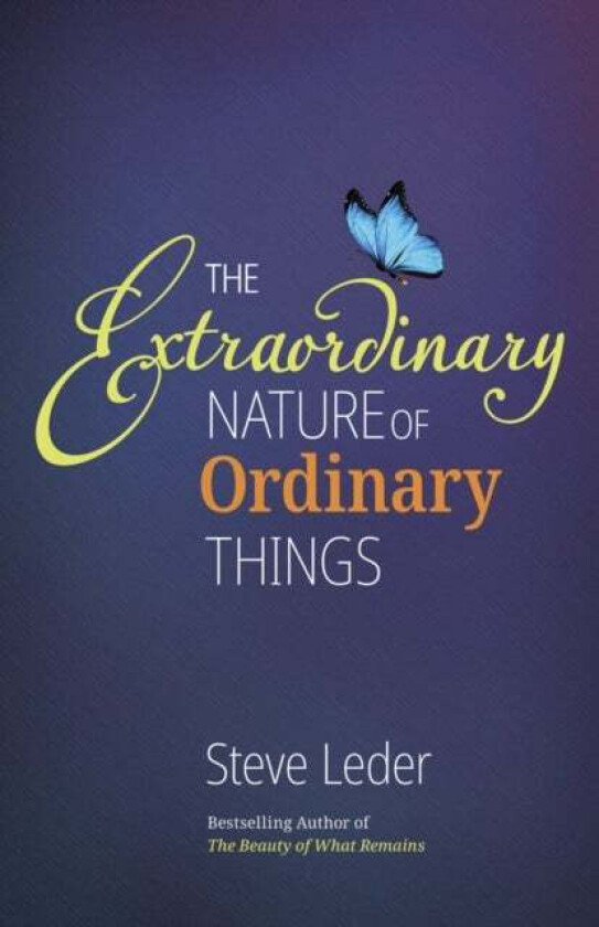 Extraordinary Nature of Ordinary Things (rev ed) av Steve Leder