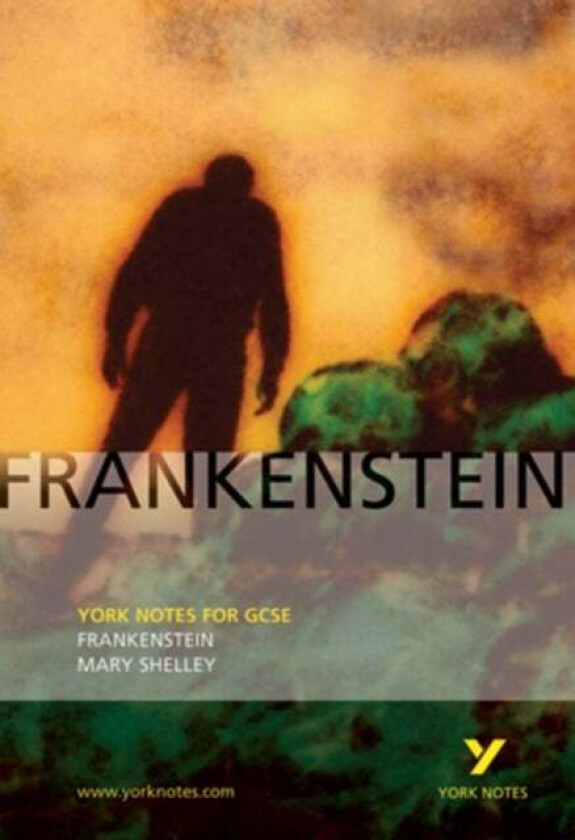 Frankenstein: York Notes for GCSE av Alex Fairburn, Mary Shelley