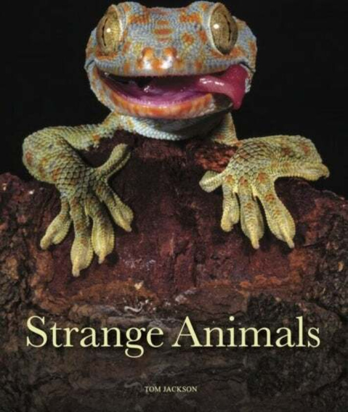 Strange Animals av Tom Jackson