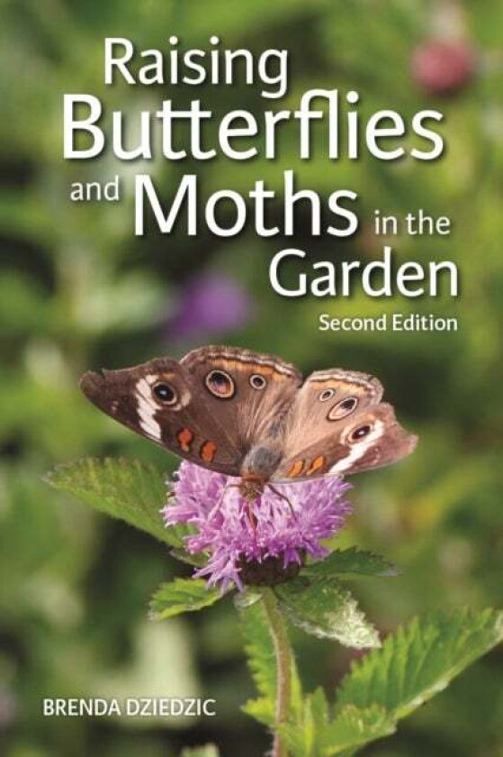 Raising Butterflies and Moths in the Garden av Brenda Dziedzic