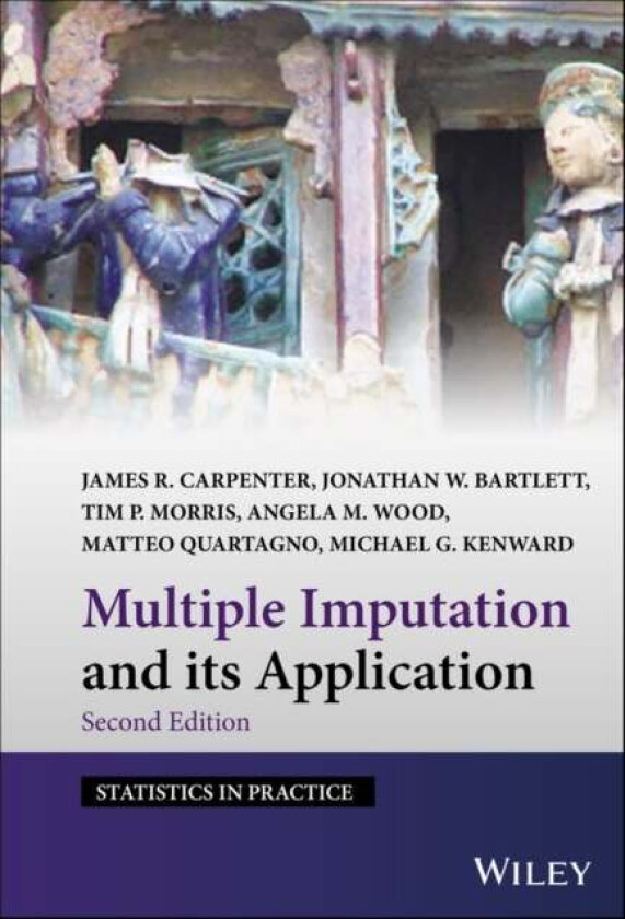 Multiple Imputation and its Application av James R. Carpenter, Jonathan W. Bartlett, Tim P. Morris, Angela M. Wood, Matteo Quartagno, Michael G. Kenwa