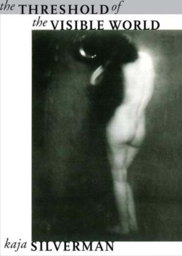 The Threshold of the Visible World av Kaja Silverman