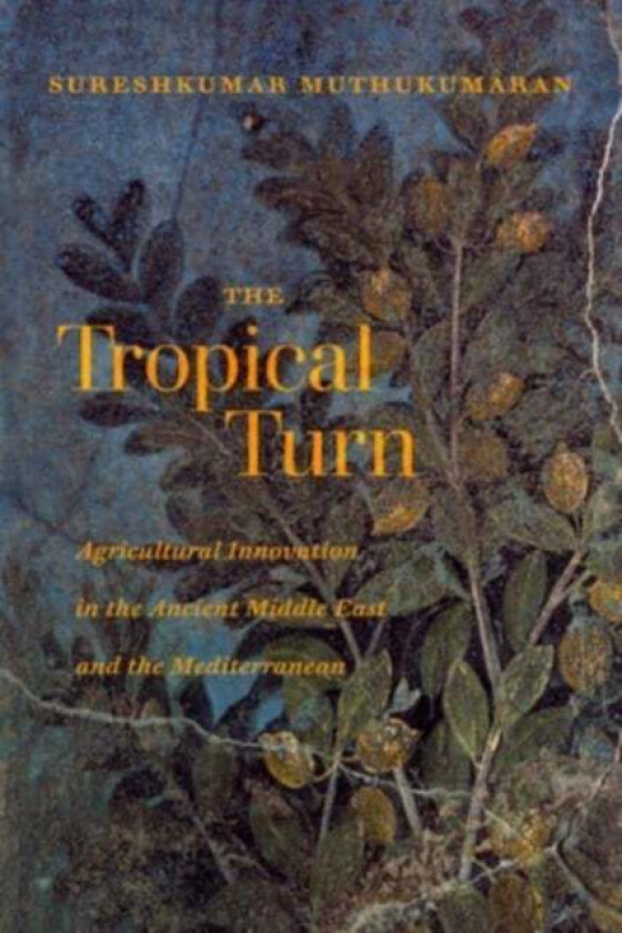 The Tropical Turn av Sureshkumar Muthukumaran