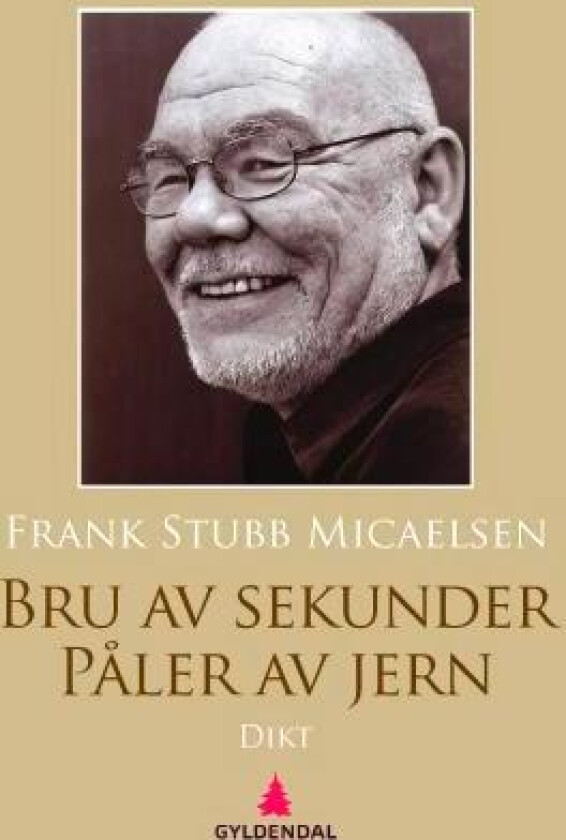 Bru av sekunder påler av jern av Frank Stubb Micaelsen