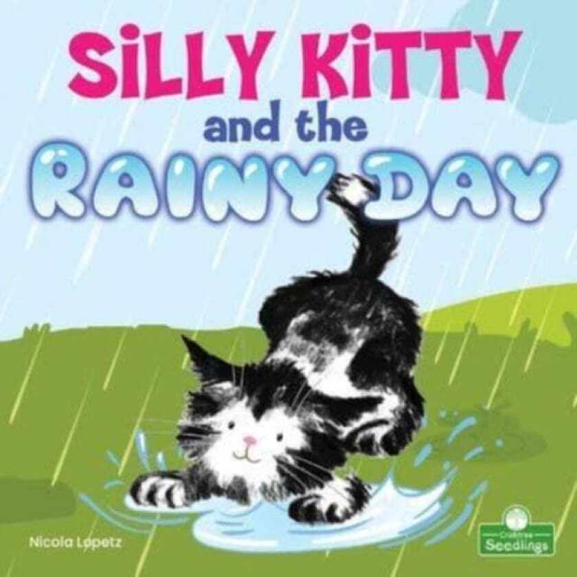 Silly Kitty and the Rainy Day av Nicola Lopetz