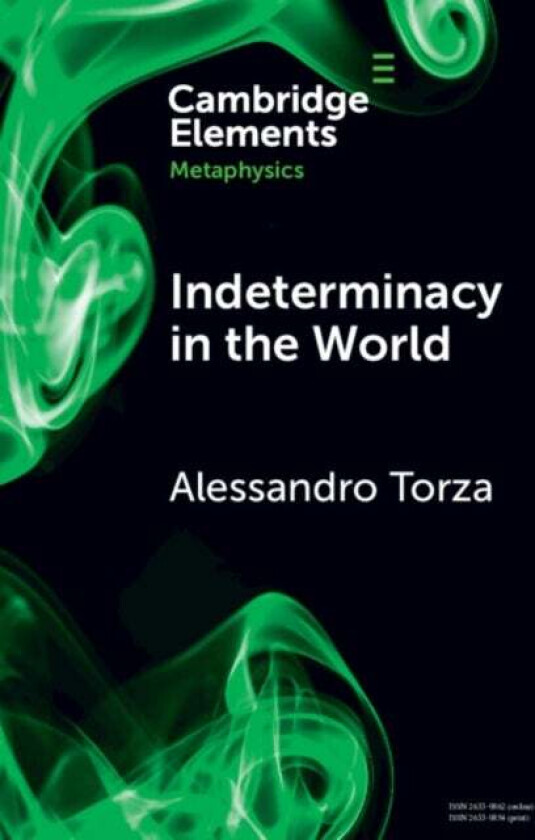 Indeterminacy in the World av Alessandro (National Autonomous University of Mexico) Torza