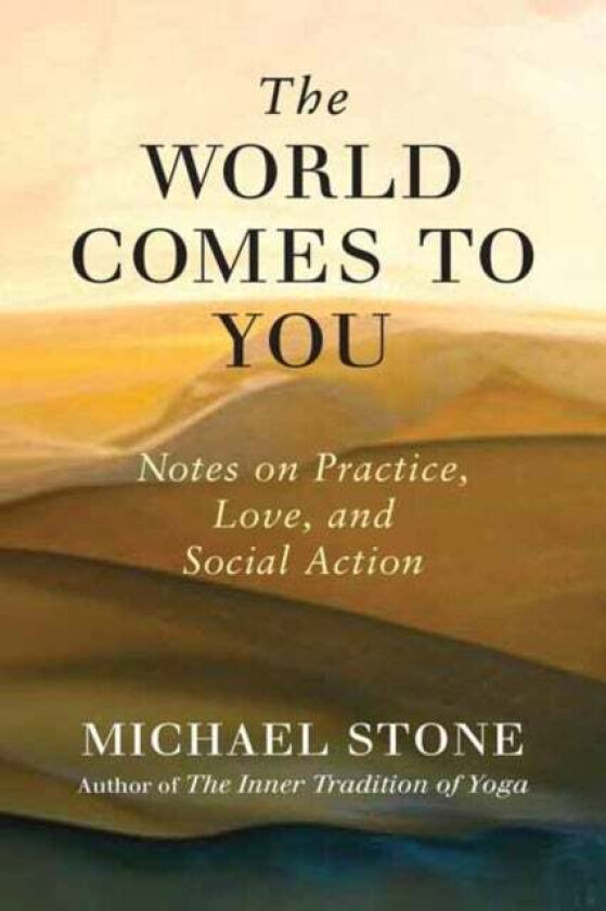 The World Comes to You av Michael Stone