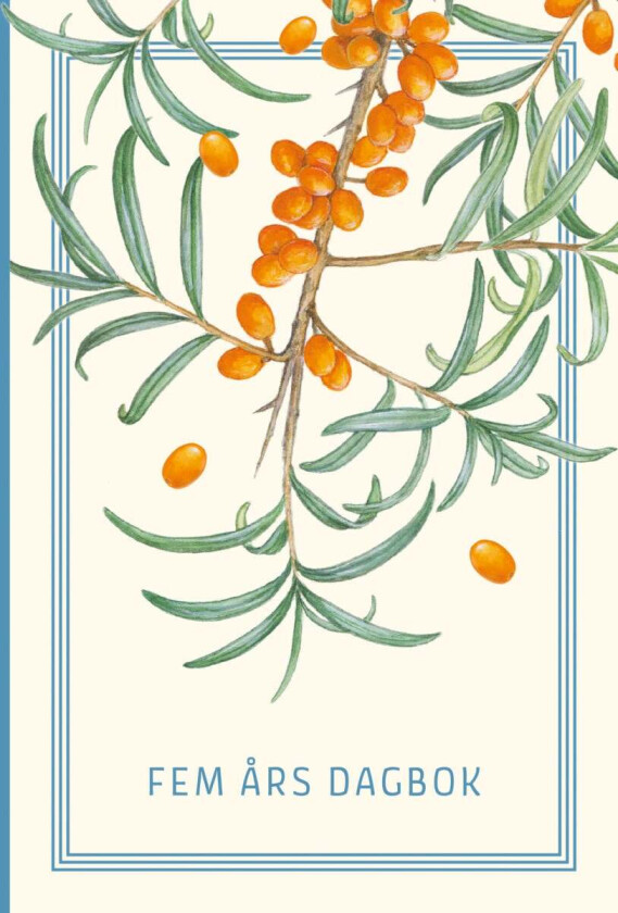 Fem års dagbok