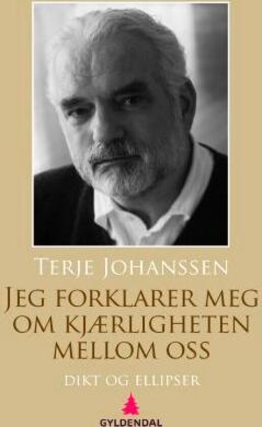 Jeg forklarer meg om kjærligheten mellom oss av Terje Johanssen