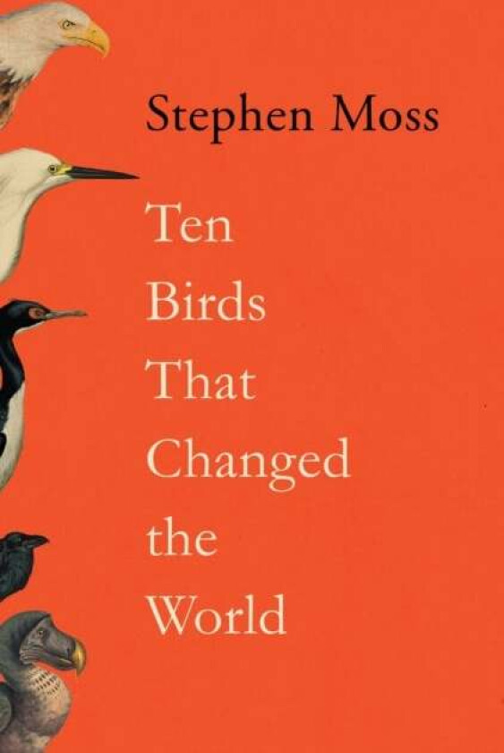 Ten Birds That Changed the World av Stephen Moss