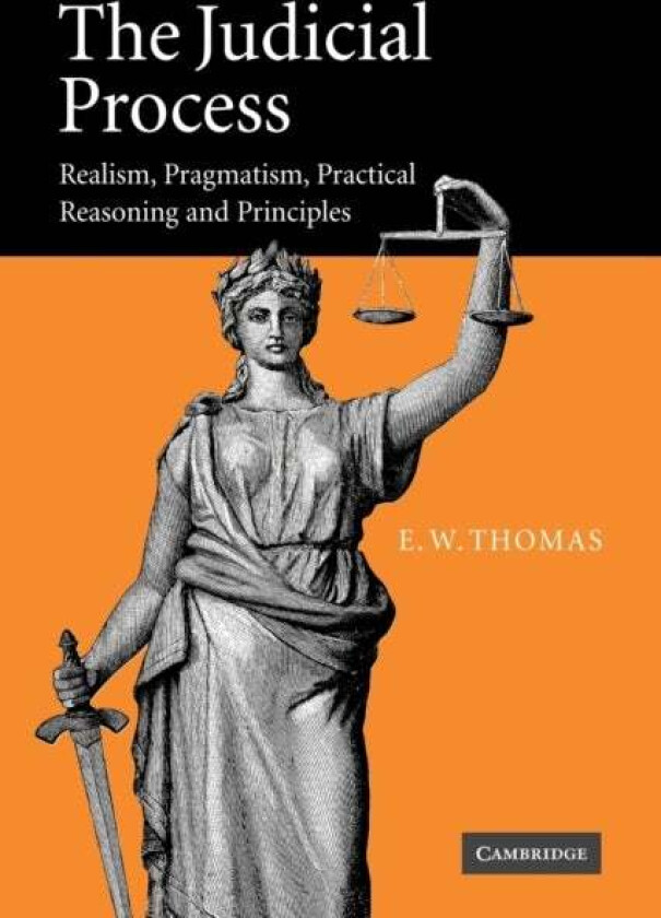 The Judicial Process av E. W. (University of Auckland) Thomas