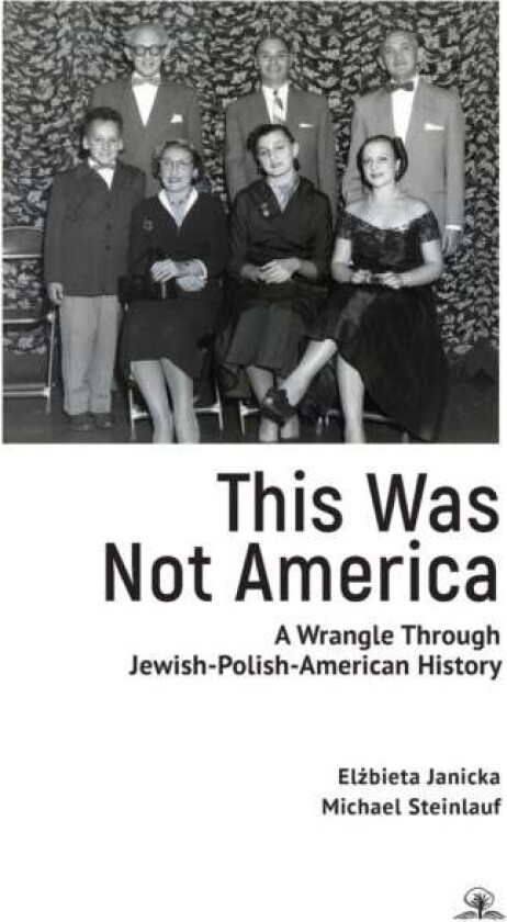 This Was Not America av Elzbieta Janicka, Michael Steinlauf
