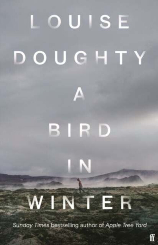 A Bird in Winter (Export Edition) av Louise Doughty