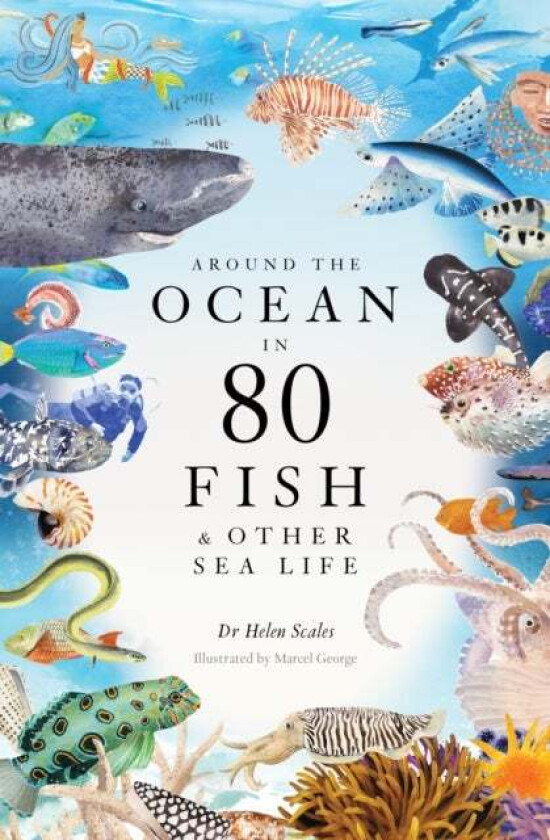 Around the Ocean in 80 Fish and other Sea Life av Helen Scales