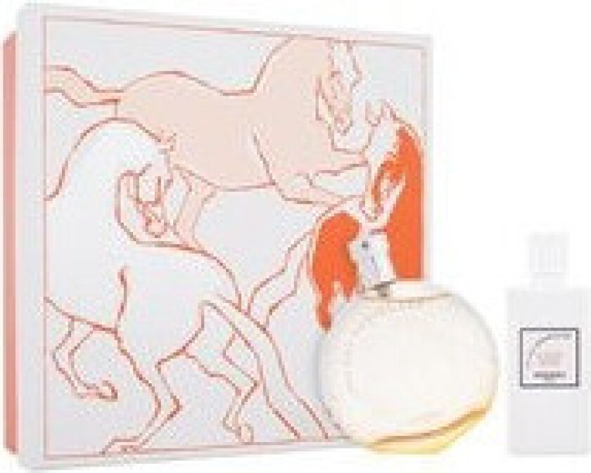 Hermes Eau Des Merveilles EDT Giftbox 100 ml