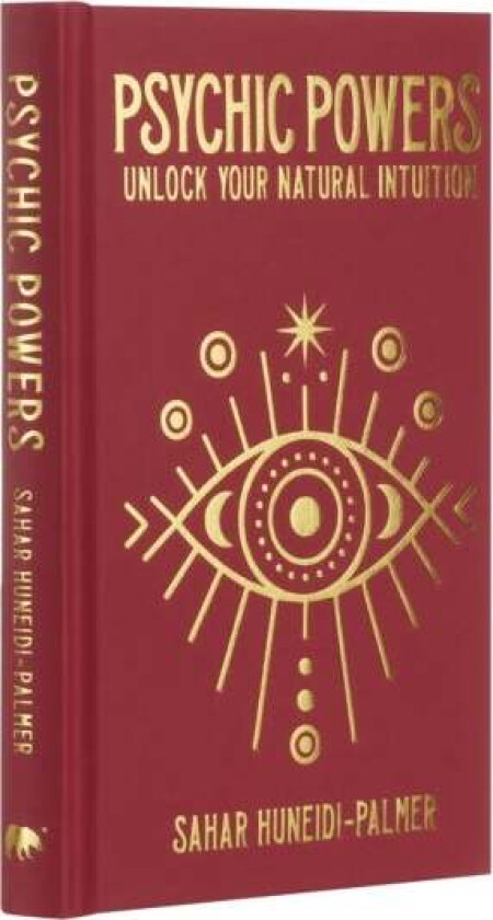Psychic Powers av Sahar Huneidi-Palmer