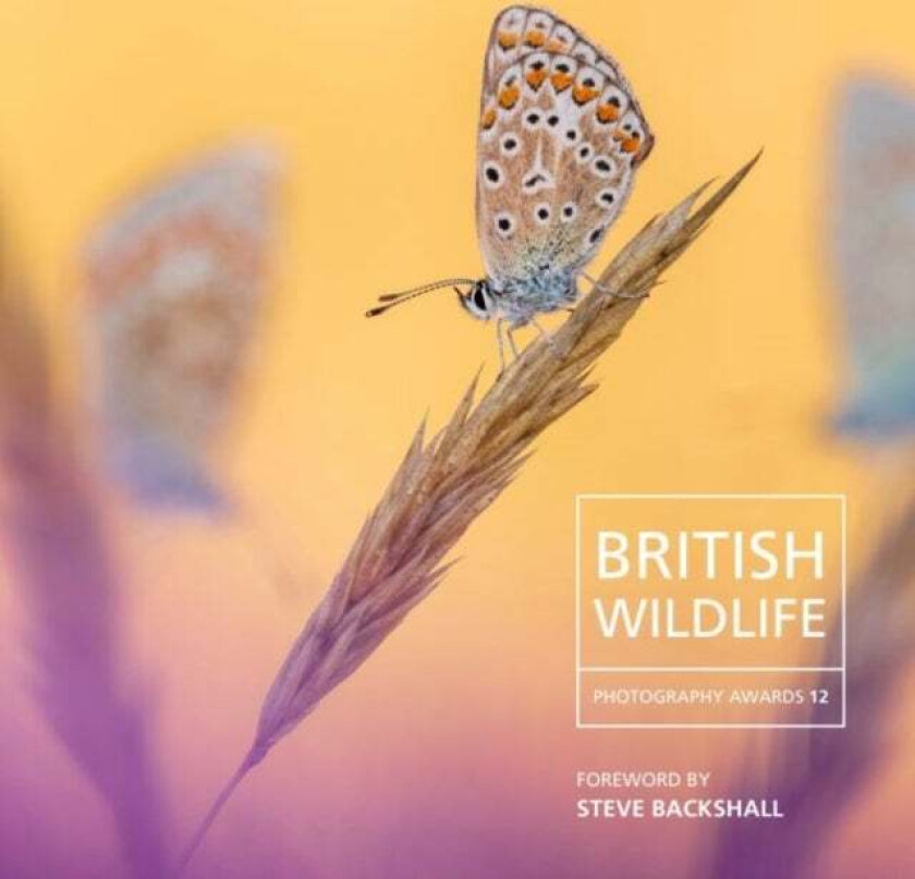 British Wildlife Photography Awards 12 av Will Nicholls