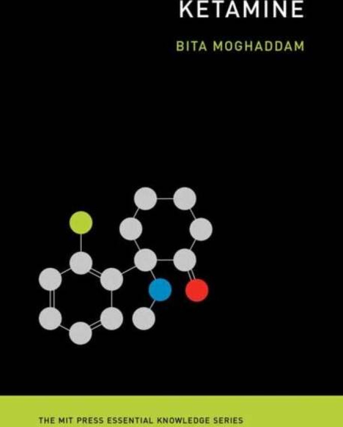 Ketamine av Bita Moghaddam