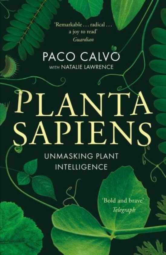 Planta Sapiens av Paco Calvo, Natalie Lawrence