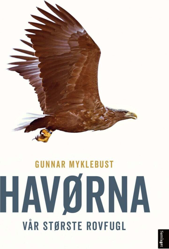 Havørna av Gunnar Myklebust