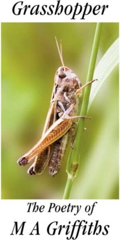 Grasshopper av Margaret Ann Griffiths