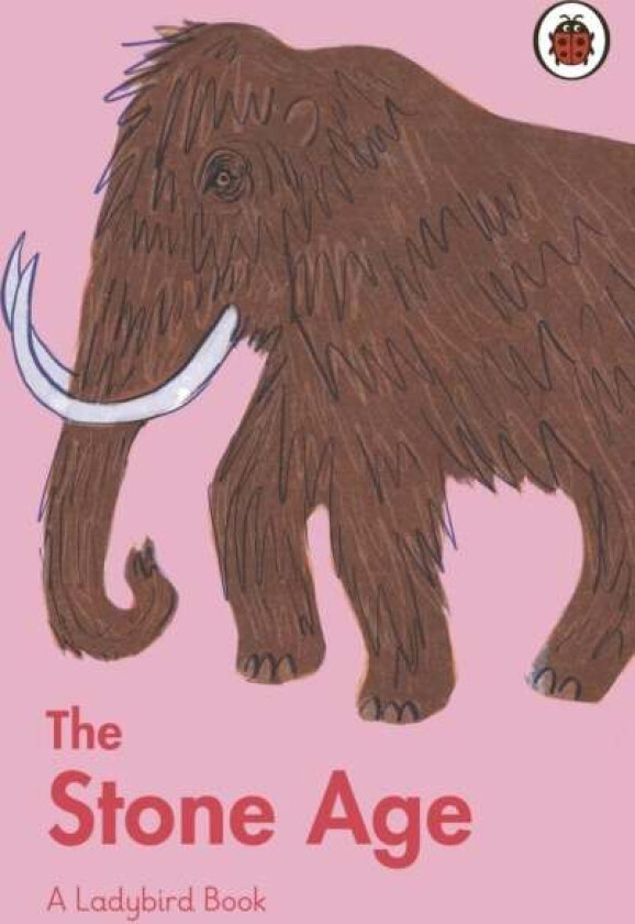 A Ladybird Book: The Stone Age av Sidra Ansari