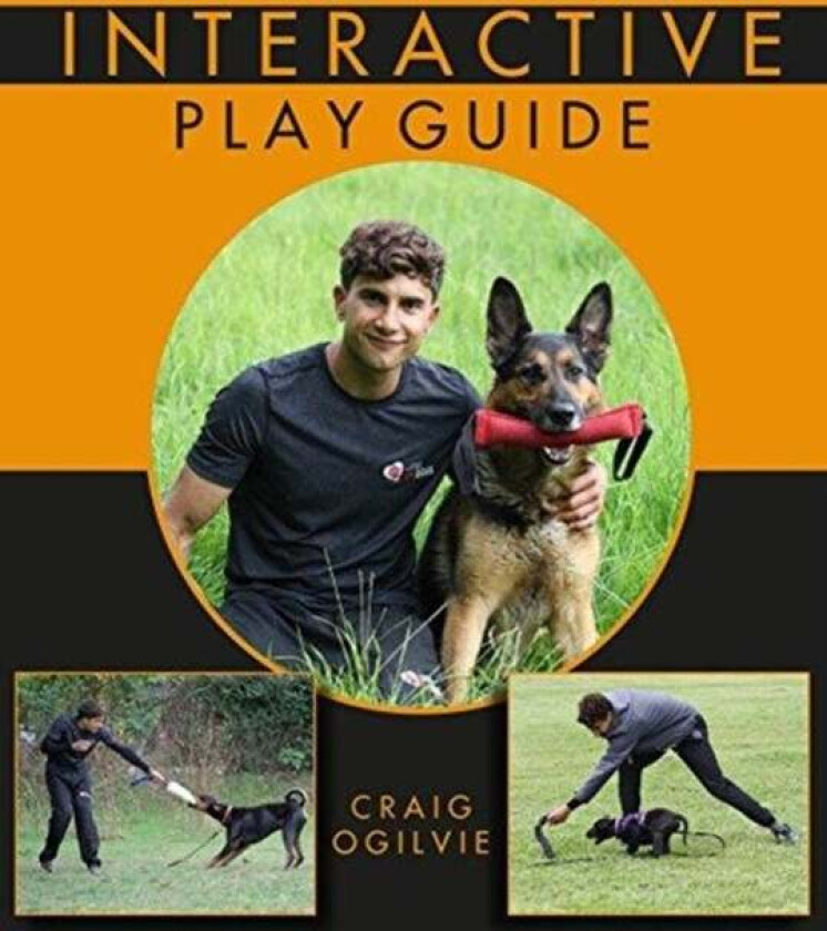 Interactive Play Guide av Craig Ogilvie