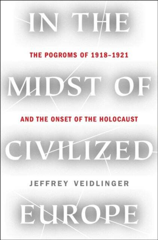 In the Midst of Civilized Europe av Jeffrey Veidlinger