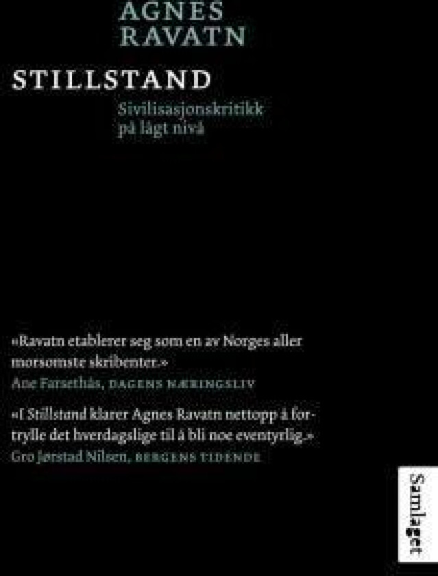 Stillstand av Agnes Ravatn