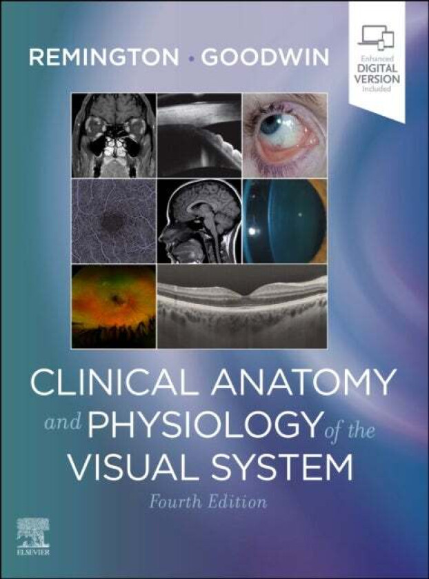 Clinical Anatomy and Physiology of the Visual System av Lee Ann (Associate Professor of Optometry Pacific University College of Optometry Forest Grove