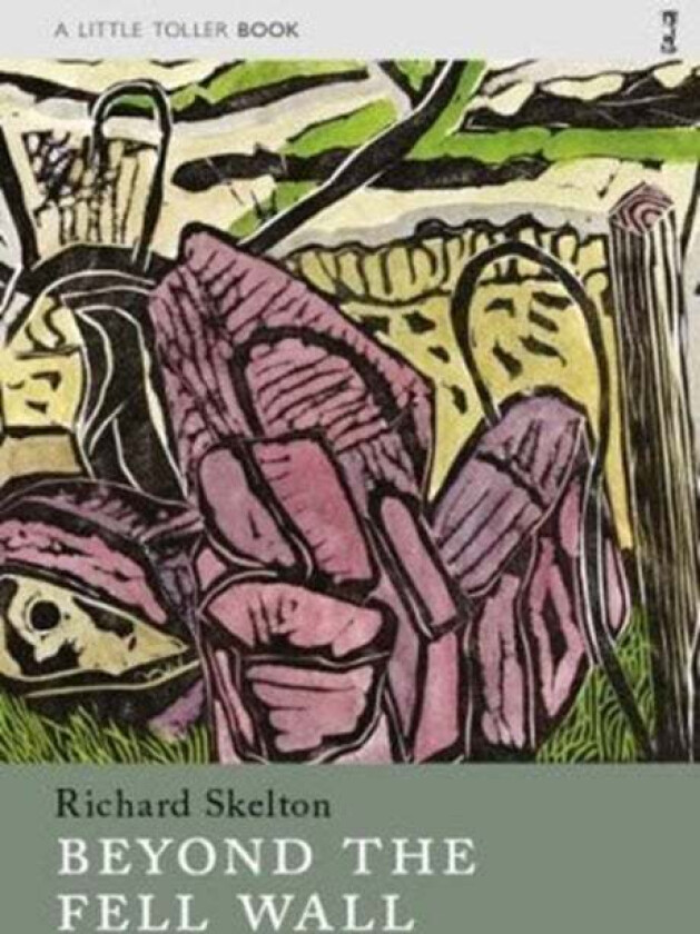 Beyond the Fell Wall av Richard Skelton
