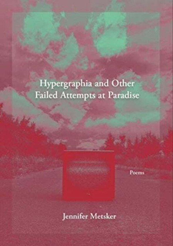 Hypergraphia and Other Failed Attempts at Paradise av Jennifer Metsker