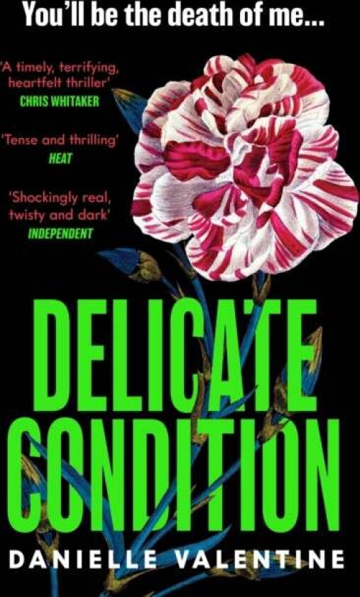 Delicate Condition av Danielle Valentine