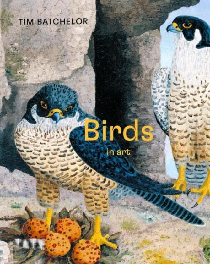 Birds in Art av Tim (Assistant Curator Tate Britain) Batchelor