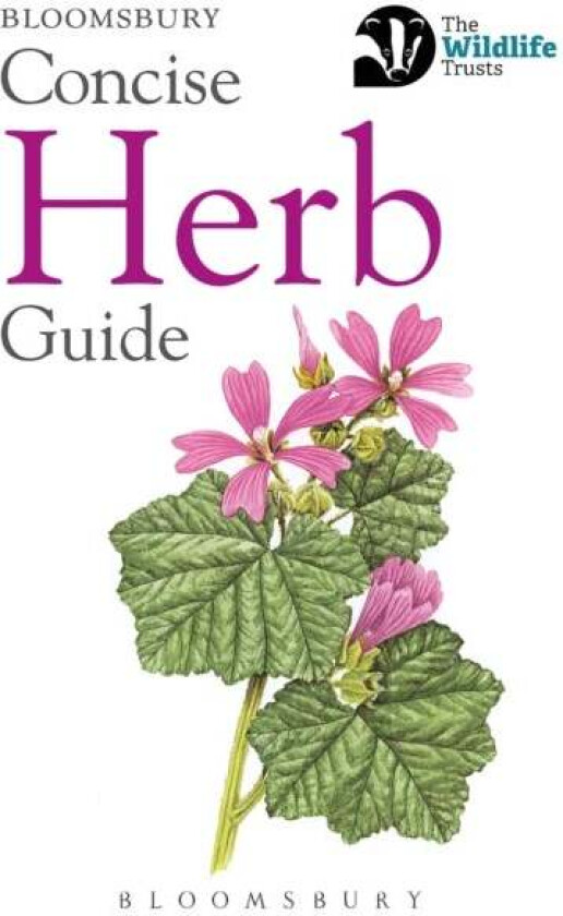Concise Herb Guide av Bloomsbury