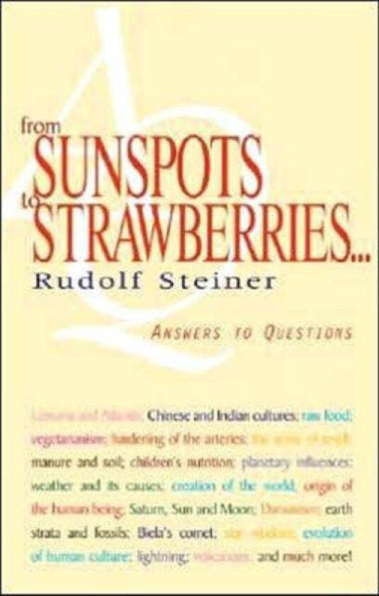 From Sunspots to Strawberries av Rudolf Steiner