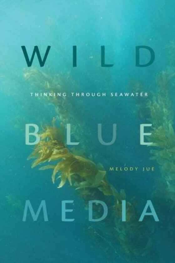 Wild Blue Media av Melody Jue