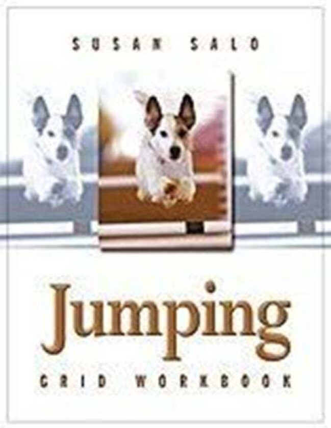 Jumping Grid Workbook av Susan Salo