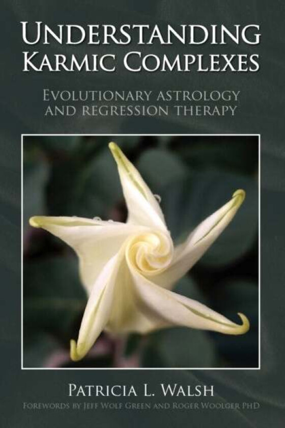 Understanding Karmic Complexes av Patricia L. Walsh