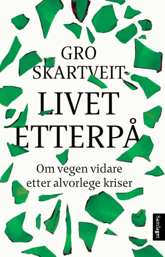 Livet etterpå av Gro Skartveit