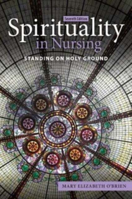 Spirituality in Nursing: Standing on Holy Ground av Mary Elizabeth O'Brien