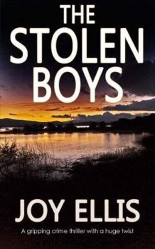 The Stolen Boys av Joy Ellis