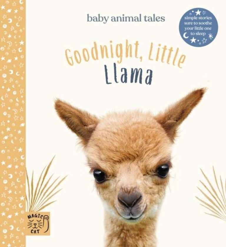 Goodnight Little Llama av Amanda Wood