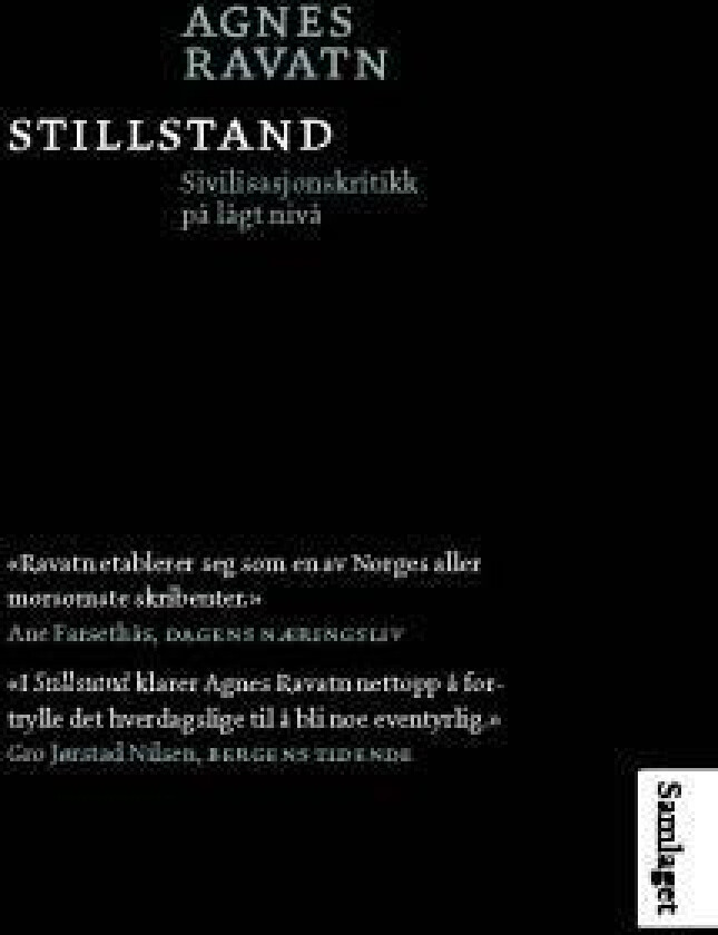 Stillstand av Agnes Ravatn