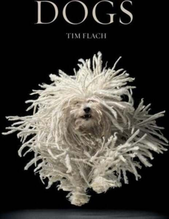 Dogs av Lewis Blackwell