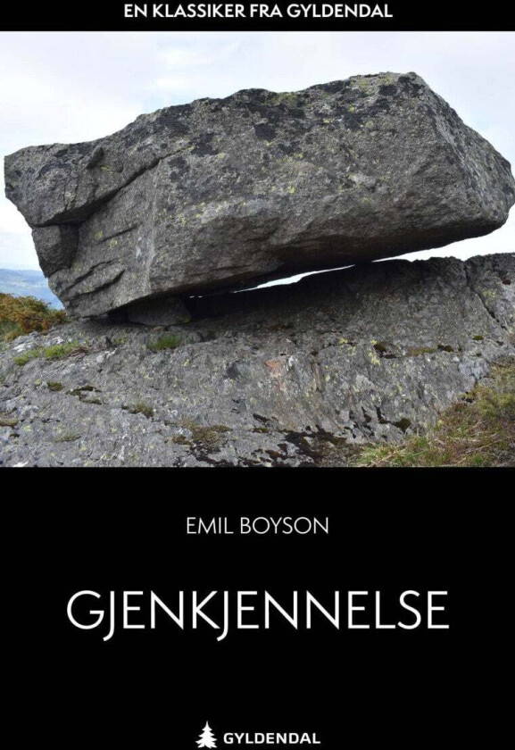 Gjenkjennelse av Emil Boyson