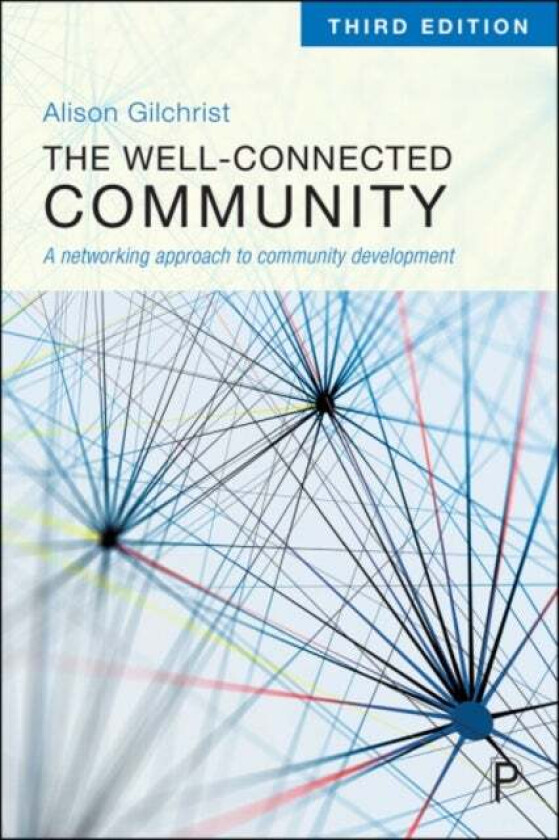 The Well-Connected Community av Alison Gilchrist