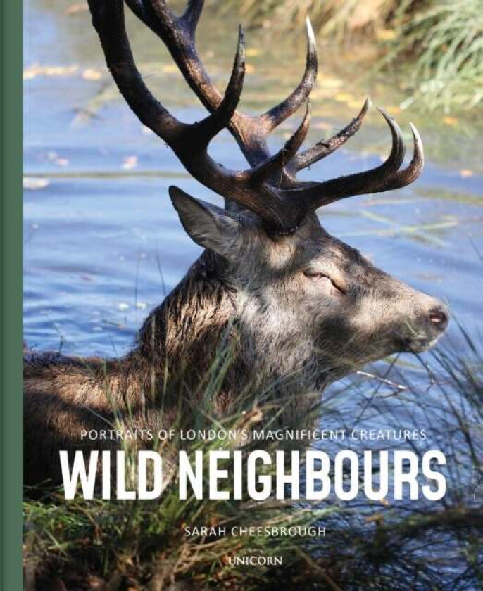 Wild Neighbours av Sarah Cheesbrough